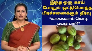 சுக்கங்காய்மிதுக்கன் காய்கொடி பயன்Uses of Sukkankaicucumis melo var herbalplantsukkangai vathal [upl. by Glassco673]