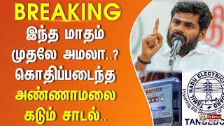 BREAKING  இரு மின் இணைப்புகள் இருந்தால் ஒரே இணைப்பாககருதி கட்டணம் கணக்கிடப்படுமாஅண்ணாமலைகேள்வி [upl. by Frida206]