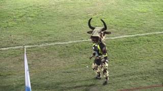 Varsity Shield Mascot dance off CPUT VS UFH [upl. by Neleb352]