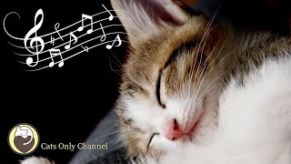 Cat Music  Music for Relaxation and Sleep  Cat Purring Sounds amp Music Box Sounds [upl. by Delija824]