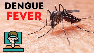 Dengue fever symptoms diagnosis treatment  Dengue fever in Hindi [upl. by Germayne353]