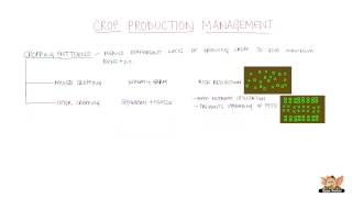 Crop Production Management  Cropping Patterns [upl. by Elkraps]