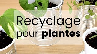 DIY Recyclage créatif  3 astuces pour vos plantes dintérieur  Tuto recyclage déco et boutures [upl. by Loree]