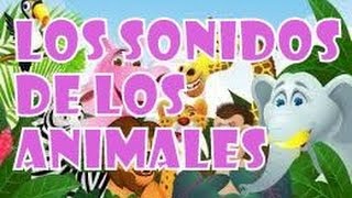 Sonidos De Animales  Escuchar Sonidos De Animales Sonidos de Animales Domesticos y Salvajes Online [upl. by Swee]