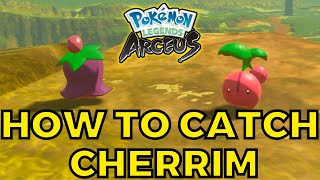 How to Catch Cherrim Side Quest 17  To Bloom or not to Bloom Pokemon Legends Arceus [upl. by Aela944]