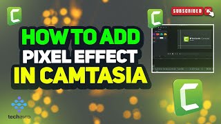 How to add pixel effect in camtasia 2024 [upl. by Onahpets]