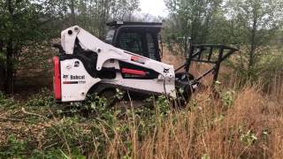 Reclaiming A Pasture Using Forestry Mulcher [upl. by Mab]