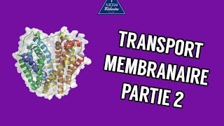 Transports membranaire  Partie 2 [upl. by Trevah]