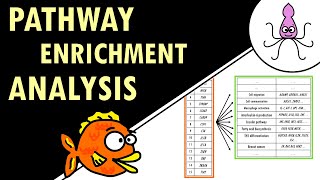 Pathway enrichment analysis  simple explanation [upl. by Gorden]