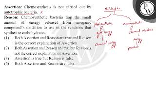 Assertion Chemosynthesis is not carried out by autotrophic bacteria Reason Chemosynthetic bac [upl. by Igenia]