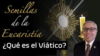 ¿Qué es el Viático  Semillas de la Eucaristía [upl. by Marozik467]