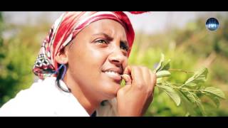 Negasi Tesfamariam  Segom  New Eritrean Music Video 2017 [upl. by Proulx622]