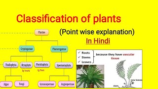 Classification of plants in Hindi  Cryptogam and Phanerogam plantclassification [upl. by Noiraa851]