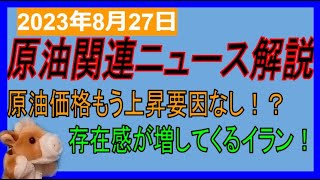 原油価格もう上昇要因なし！？リグ稼働数減少しても生産量増の謎！NVIDIA決算よかったのに！WTI原油先物価格見通し 2023年8月27日時点 [upl. by Triplett709]