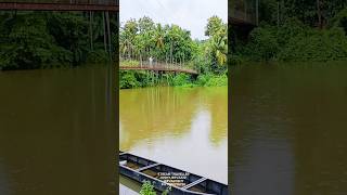 puthiyottil kadavu Thookkupalam pazhoor mukkam calicut travelvlog viralreels car travel [upl. by Ennaylime]