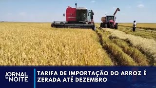 Três tipos de arroz têm tarifa de importação zerada até dezembro  Jornal da Noite [upl. by Kristen979]