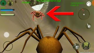 SPIDER NEST SIMULATOR  Awesome Creepy Adventure Explore Learn Wildlife Game [upl. by Assili]