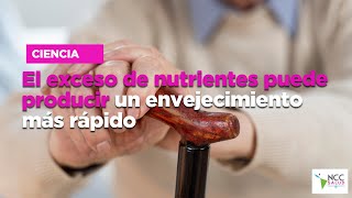 El exceso de nutrientes puede producir un envejecimiento más rápido [upl. by Ahsinhoj]