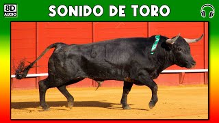 SONIDO DE TORO 🐂 [upl. by Nanon]