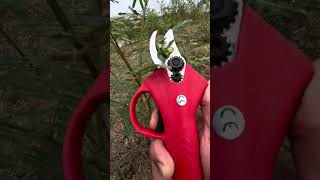 electric scissors easy use save time tool P2367 [upl. by Elbam655]