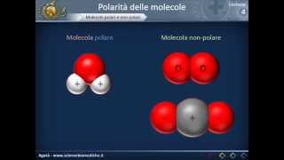 Citologia 04  Polarità delle molecole [upl. by Gilburt581]