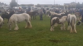 Ballinasloe horse fair 2022 Great crowd great weather great to be back [upl. by Adieren]