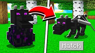 How to HATCH the ENDER DRAGON EGG in Minecraft Tutorial [upl. by Murdock]