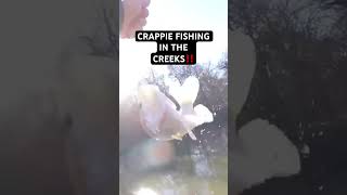 CRAPPIE FISHING in the CREEKS‼️ [upl. by Jemena498]