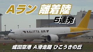 【4K】成田空港 ひこうきの丘 ライブ配信未公開 Aランより離陸する飛行機５連発 [upl. by Rosen]