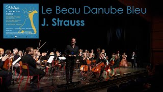 Le Beau Danube Bleu J Strauss [upl. by Allesor]