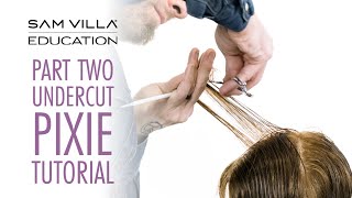 PART TWO  Pixie Haircut Tutorial  Cutting the Top [upl. by Cecile661]