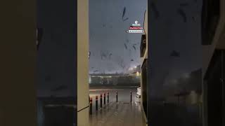 🇪🇸 🌧️ Impactante imágenes de la tragedia en Valencia España [upl. by Anivram523]