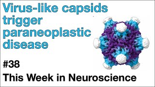 TWiN 39 Viruslike capsids trigger paraneoplastic disease [upl. by Demah]