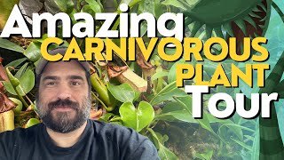 Amazing Must See Carnivorous Plant Tour Huge Pitchers Rare Plants And More [upl. by Marra]