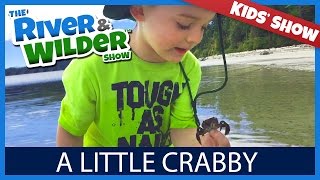 KIDS LEARN TO CATCH CRABS WITH BARE HANDS  YOUTUBE FOR KIDS [upl. by Pubilis]