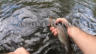 Fly fishing the Musconetcong River Part 1 May 2022 [upl. by Aisatana]