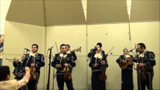 Mariachi Nuevo de Las Vegas El Balaju [upl. by Rinee]