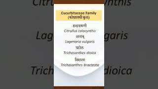 Cucurbitaceae Family कोशातकी कुल Latin names Dravyaguna aiapget [upl. by Solram]