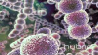 Streptococcus Pneumoniae Hybrid Medical Animation [upl. by Aiciled]