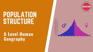 A Level Human Geography  Population Structure [upl. by Ansel]