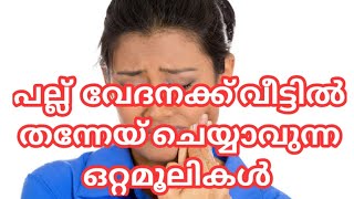 പല്ല് വേദന മാറ്റാന്‍ ചില വഴികള്‍pallu vedana maranpallu vedana malayalampallu vedana tipsthe bri [upl. by Anaehr]