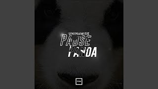 Pause Panda [upl. by Ahsienot327]