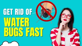 How To Get Rid Of Waterbugs In House Fast Natural Home Remedies  Top Repellents [upl. by Meeharbi]