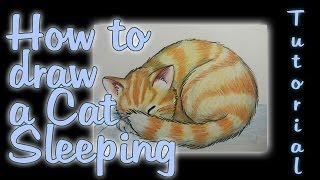 How to draw a Cat Sleeping [upl. by Terrene]