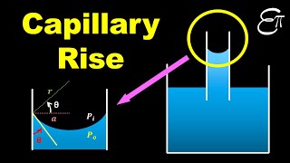 Capillary rise equation [upl. by Fanchet]