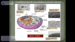 Electromedicina clase 1 [upl. by Chow482]