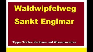 Waldwipfelweg Sankt Englmar Naturerlebnispfad Haus am Kopf Aussichtsplattformoptische Phänomene [upl. by Oralle151]