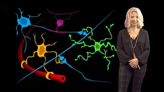 Beth Stevens Boston Children’s 1 Microglia States in Health and Disease [upl. by Jeannie817]