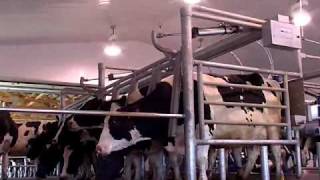 DeLaval Cascade™ Parallel Parlour  DeLaval [upl. by Claire167]