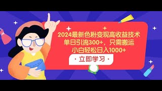 2024最新色粉变现高收益技术，单日引流300，只需搬运，小白轻松日入1000 [upl. by Eaned]